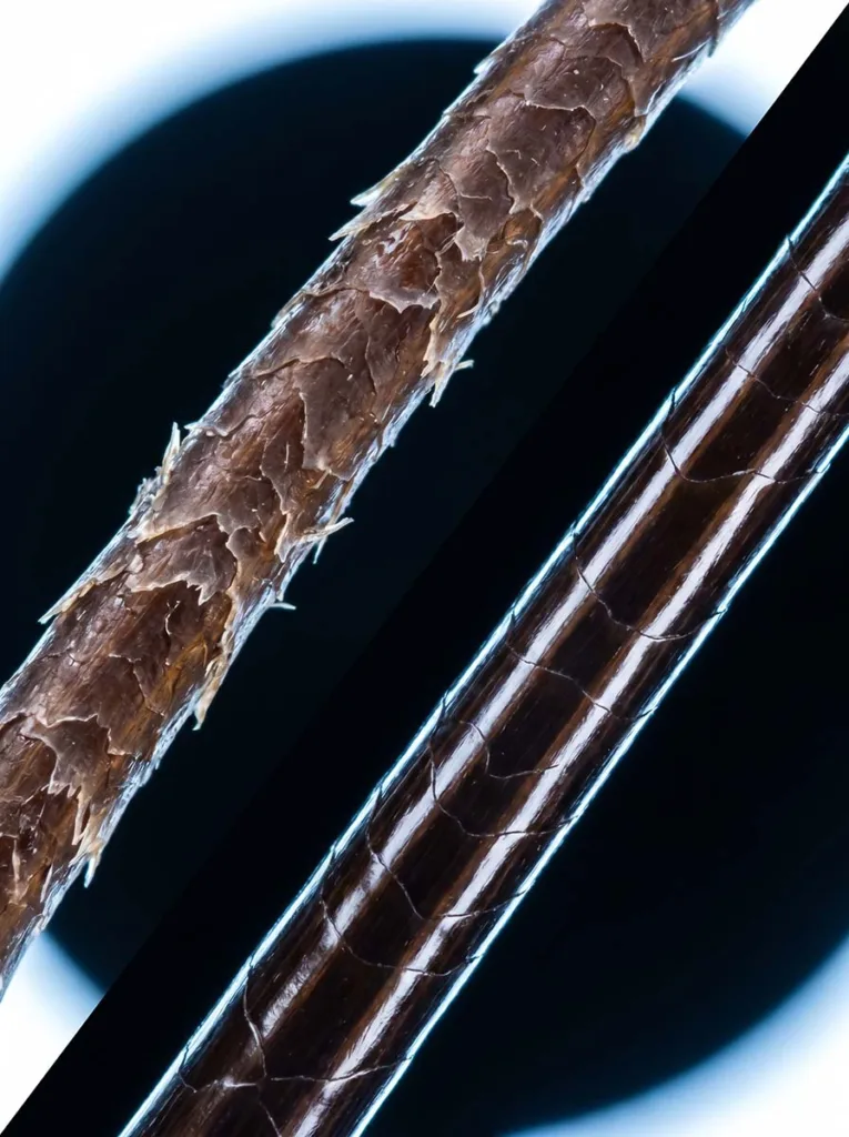 close-up comparison of damaged hair cuticle versus smooth healthy hair strand