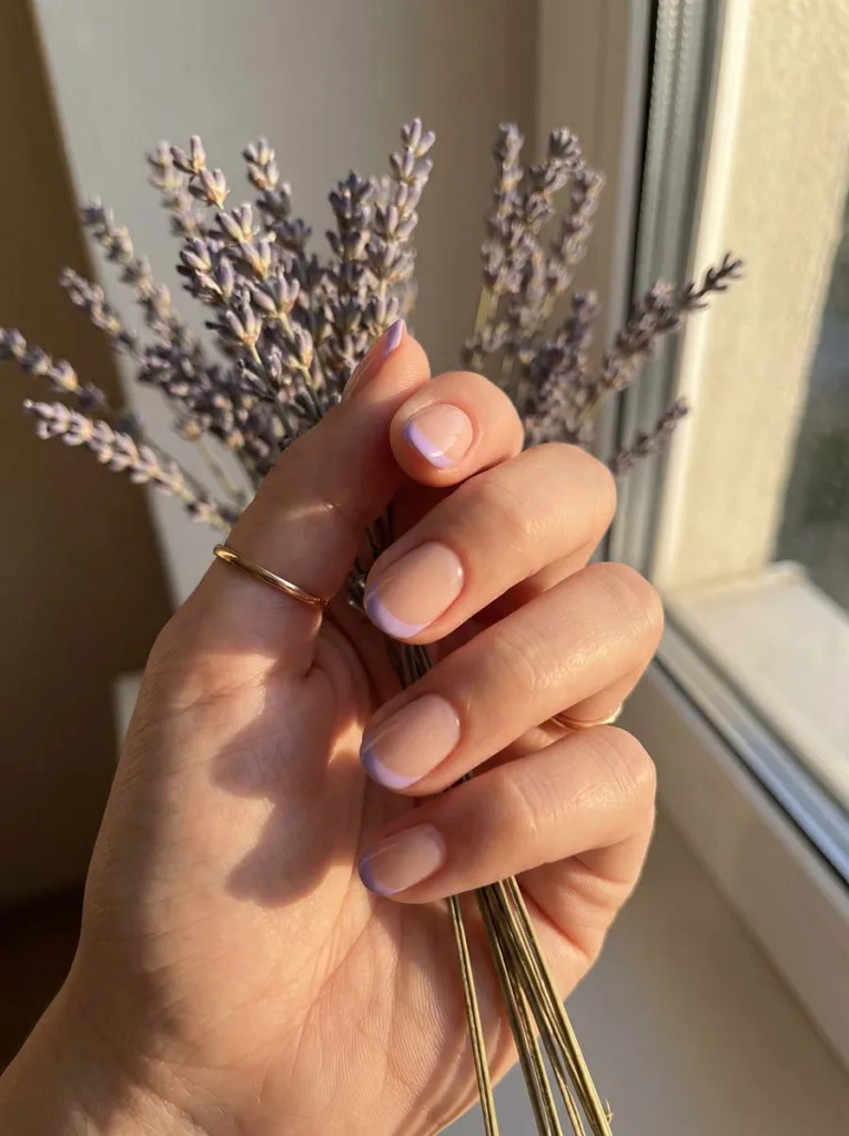 Pastel lavender French tip short round nails on fair skin holding dried lavender — warm-light editorial
