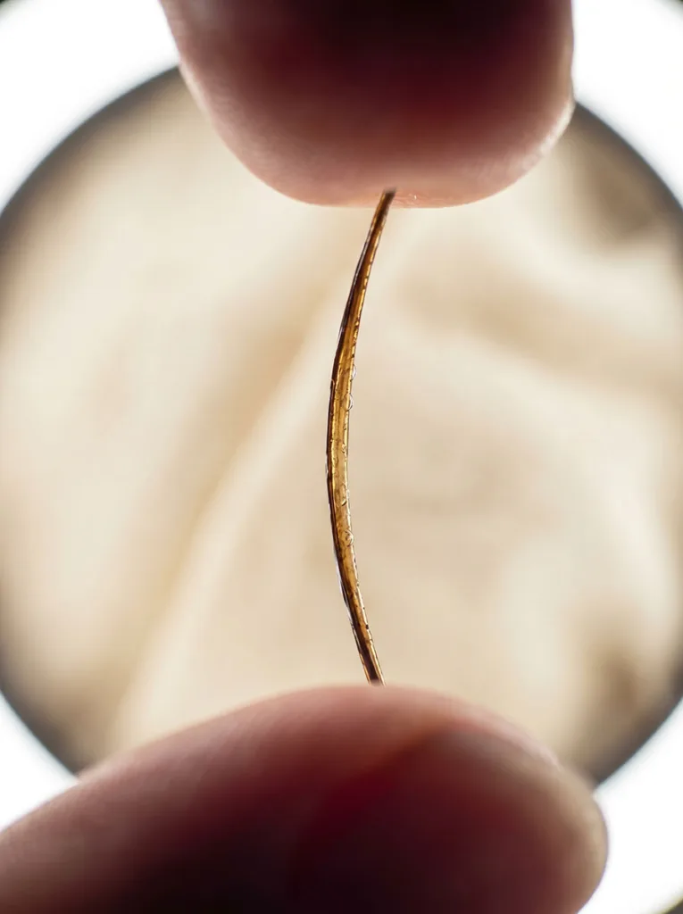 close-up of a single wet hair strand being stretched to test protein and moisture balance